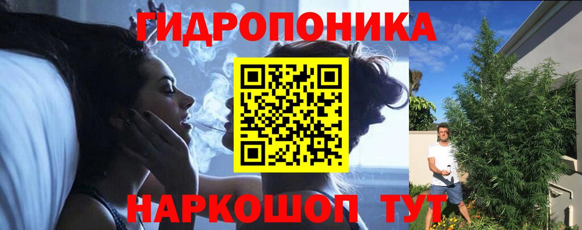 Шишки марихуана Amnesia Белая Калитва